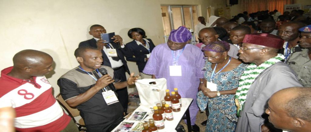 bee keeping training and honey making in Nigeria